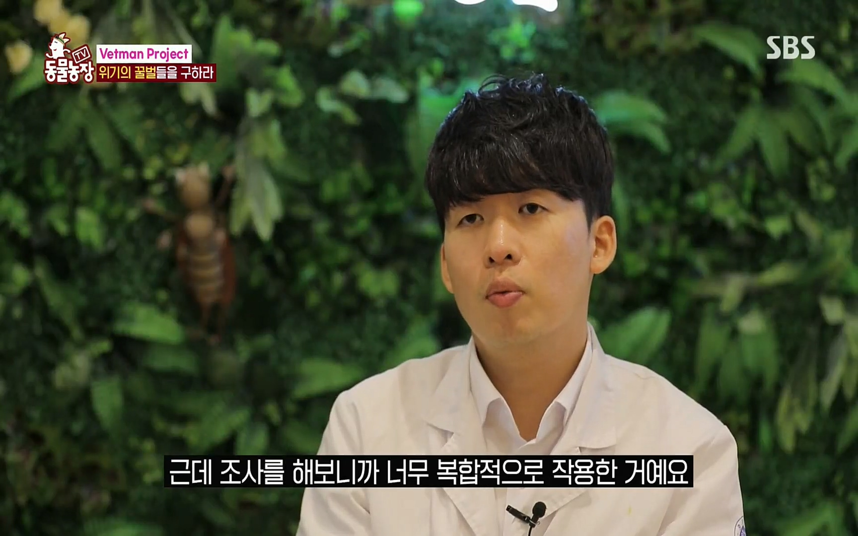 TV 동물농장.E1072.220605p.H264-F1RST.mp4_20220605_181205.658.jpg