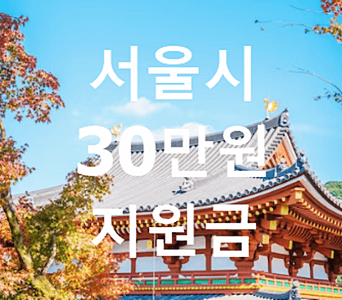 서울시 30만원 주거비 지원금