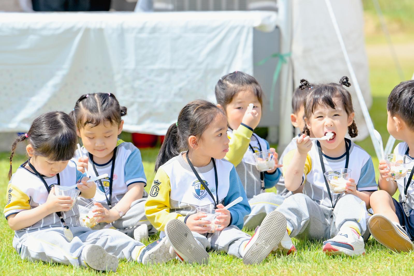 성주참외&생명문화축제