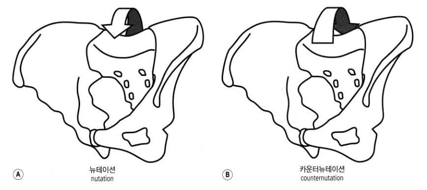 뉴테이션과 카운터뉴테이션 그림