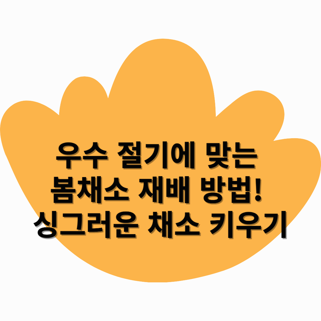 우수 절기에 맞는 봄채소 재배 방법! 싱그러운 채소 키우기
