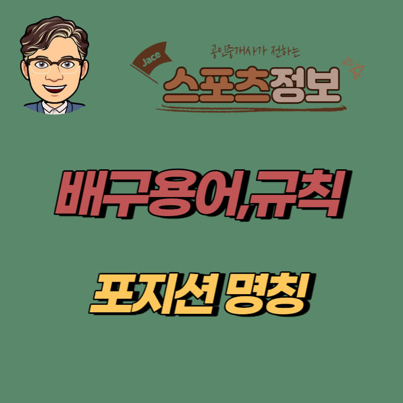썸네일 배구용어