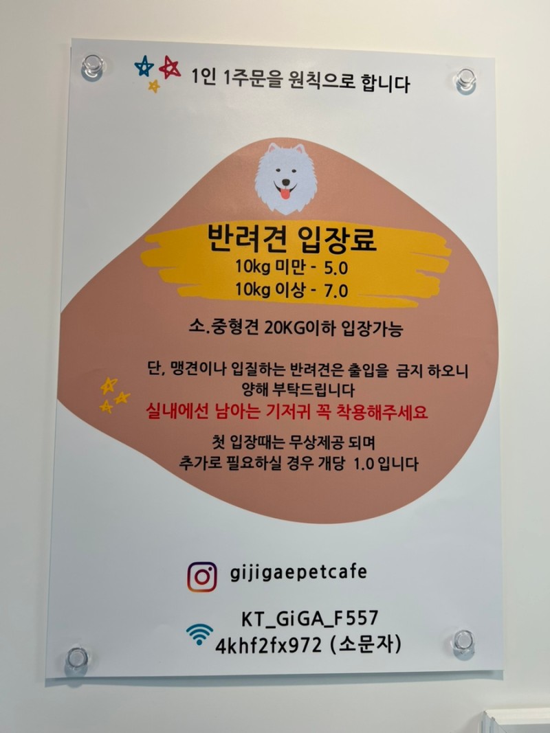 남양주-애견카페-기지개-상주견-및-반려견-입장료