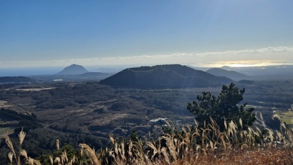 정물 당오름, 오름 그리고 금악오름 51