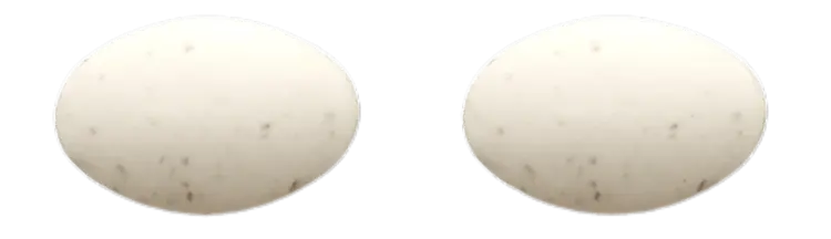 지노프로질정-외형-이미지