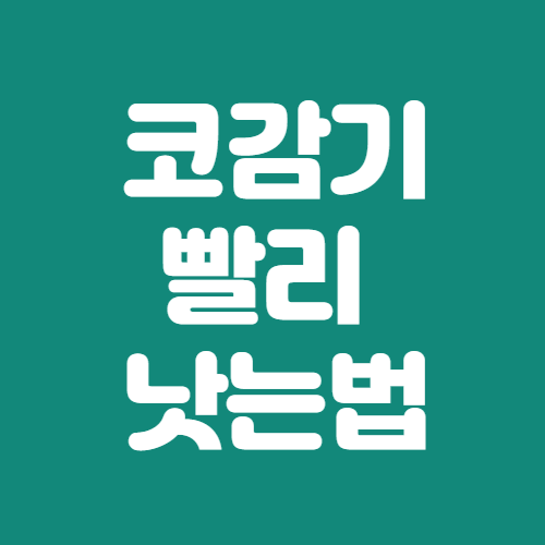 코감기 빨리 낫는법 및 좋은 음식