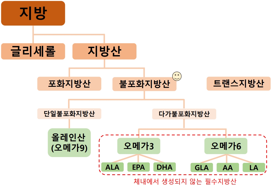  비타민F는 지방이다?(Vitamin F vs fat), 지방과 지방산에 대해 다 알려줌! - 비타민 화장품 성분 9탄