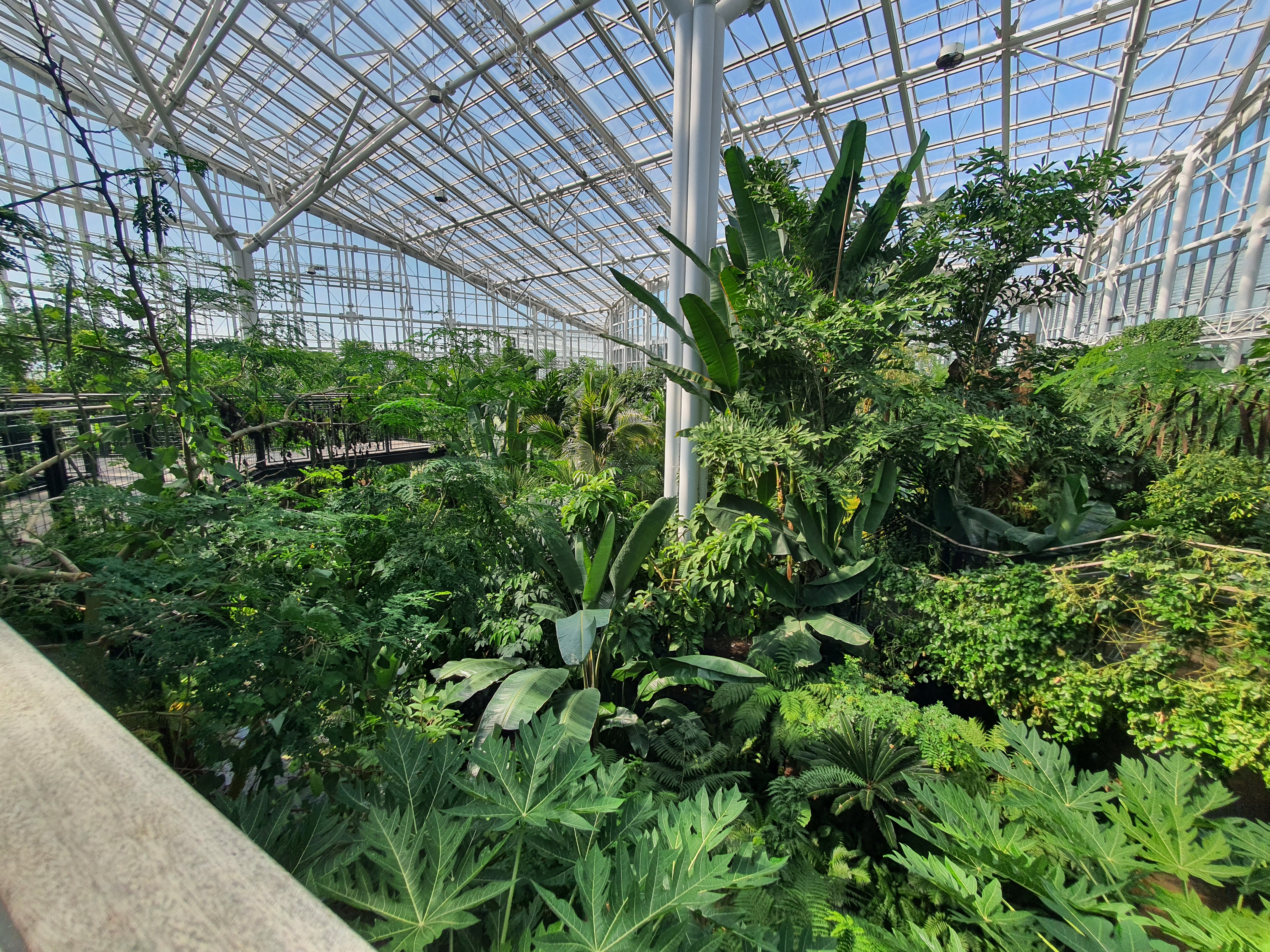 국립세종수목원 야간 개장 이용 안내 할인 혜택 세종 가볼만한 곳