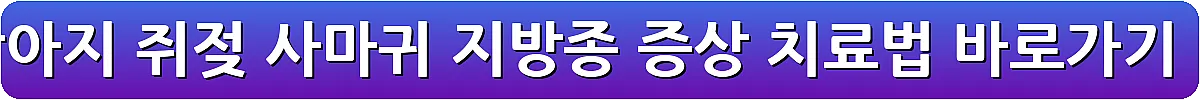 강아지 쥐젖 사마귀 지방종 증상 치료법_20