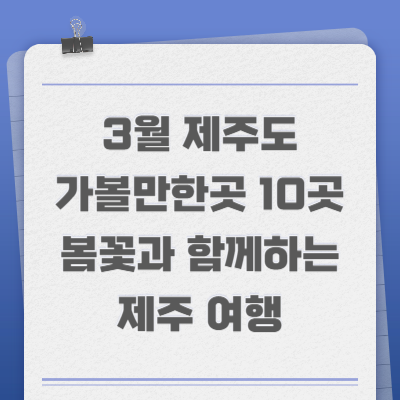 3월 제주도 가볼만한곳 10곳 봄꽃과 함께하는 제주 여행