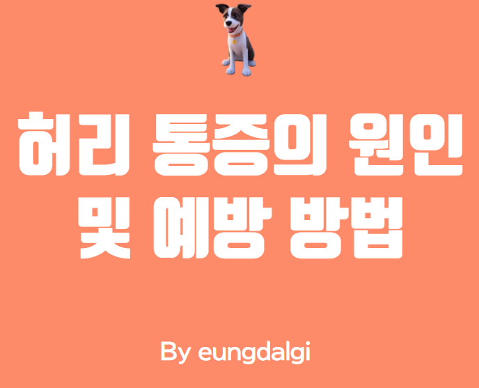  허리 통증의 원인 및 예방 방법