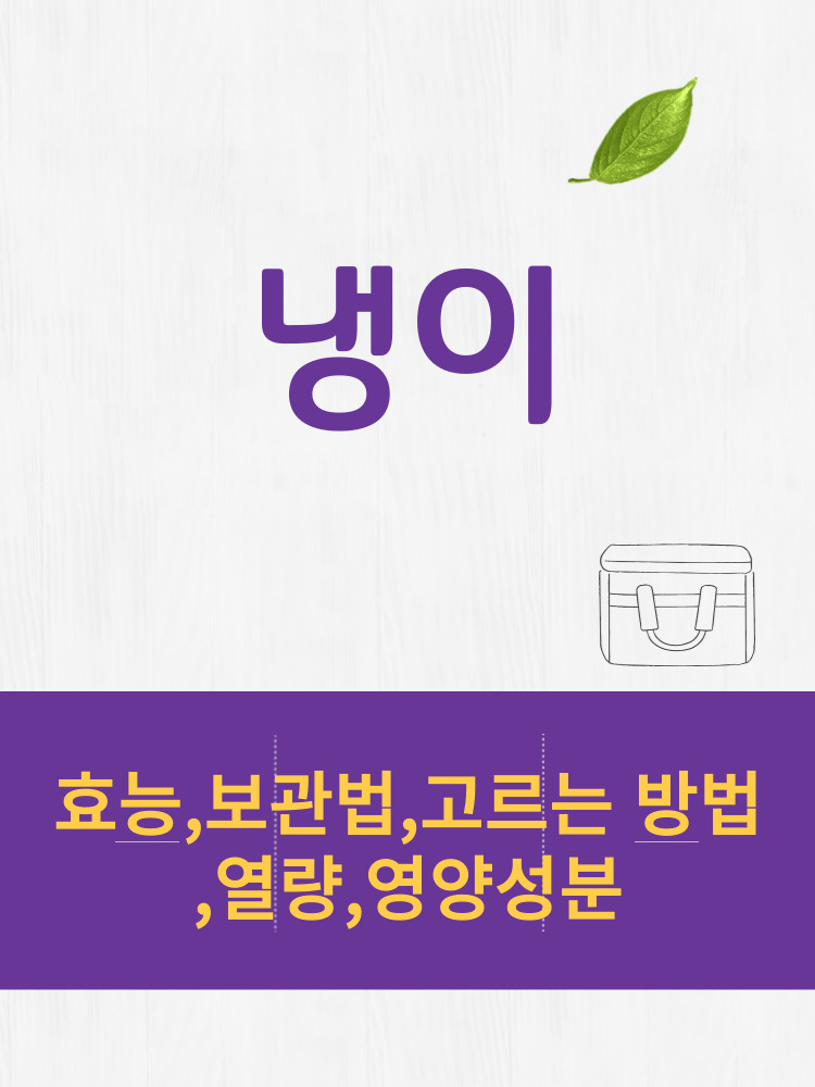  냉이 효능 및 열량과 보관법 칼로리 총정리 