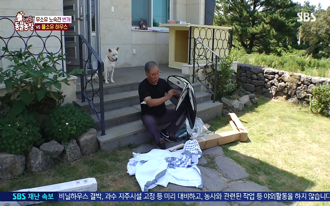 TV 동물농장.E1087.220919p-NEXT.mp4_20220918_180226.896.jpg