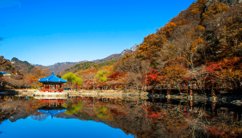 연못 주변 단풍나무와 정자