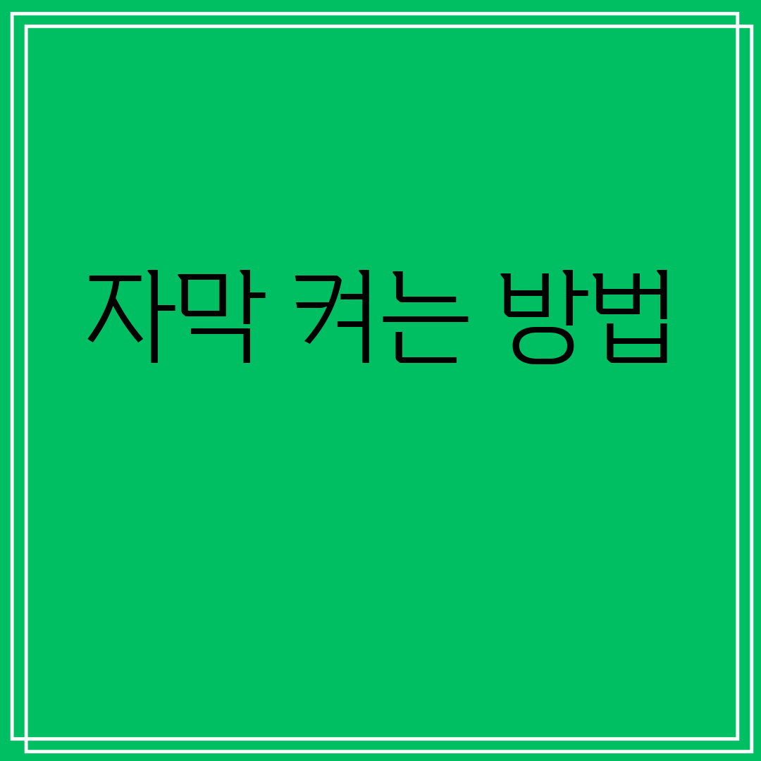 자막켜는방법