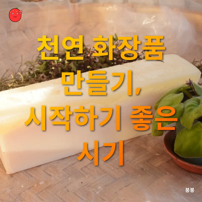 천연 화장품 만들기_2_subsection