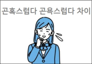 곤혹스럽다 곤욕스럽다 차이