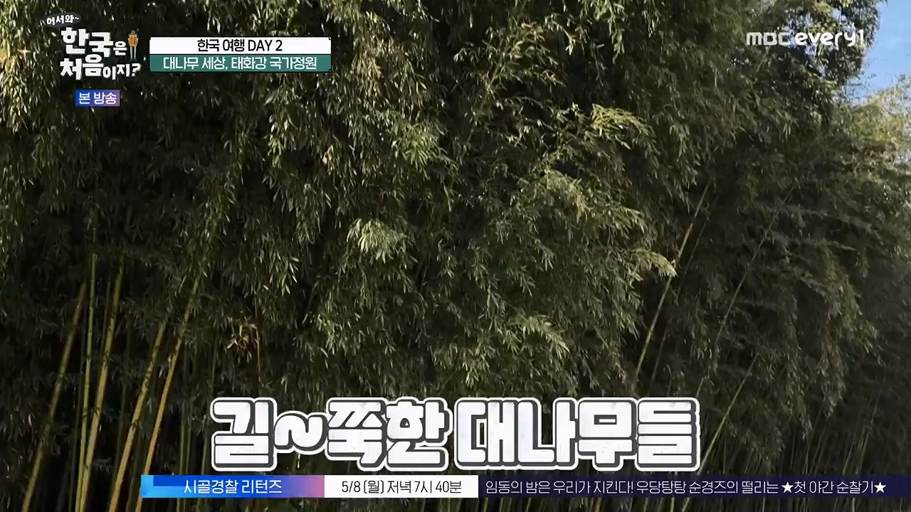 어서와 한국은 처음이지 시즌2.E261.230505p-NEXT.mp4_20230505_175306.091.jpg