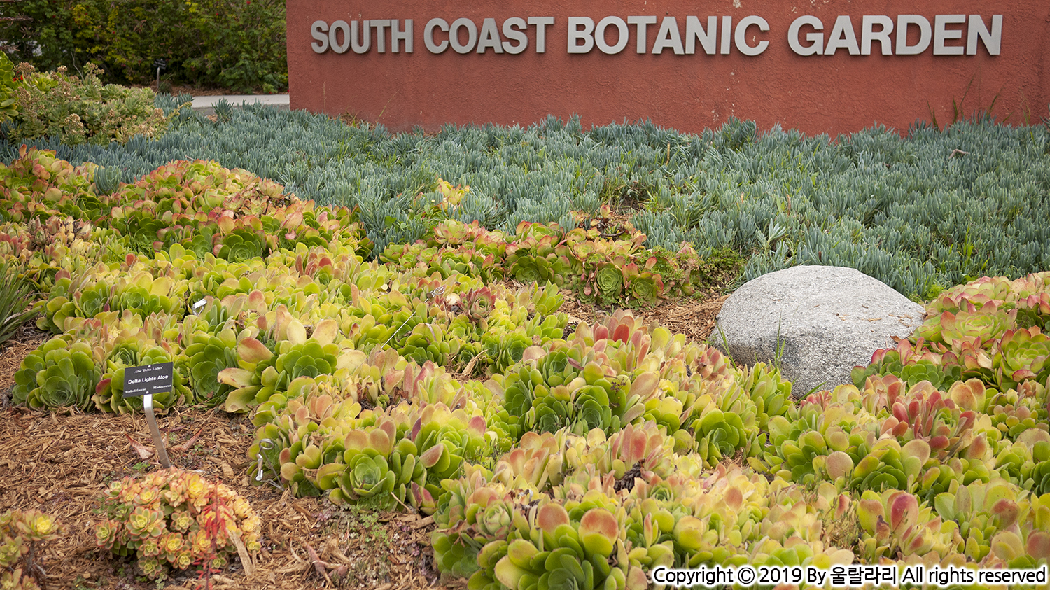 south coast botanic garden 사우스 코스트 보타닉 가든