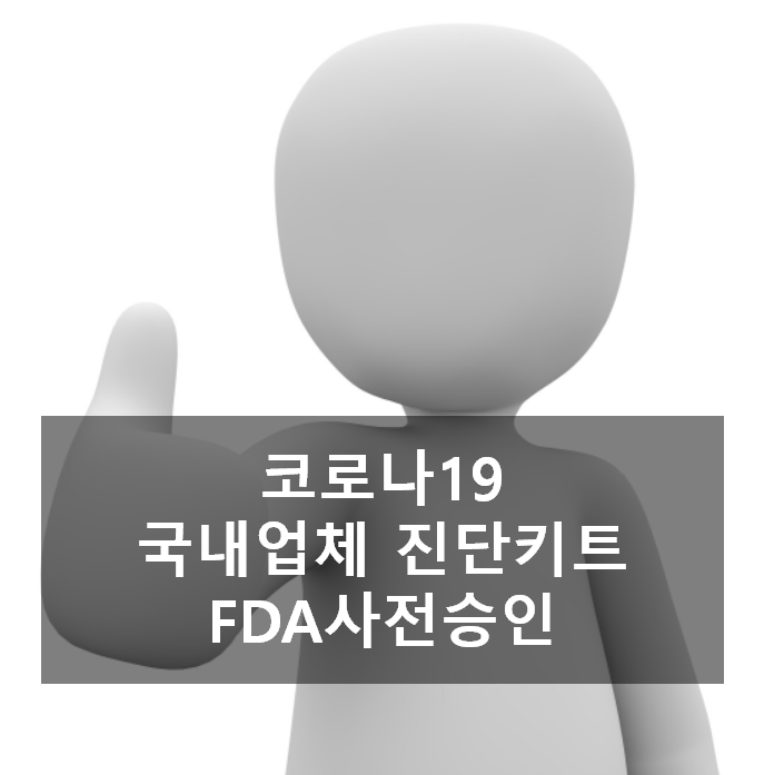  코로나19 진단키트 국내제조업체 FDA사전 승인 완료