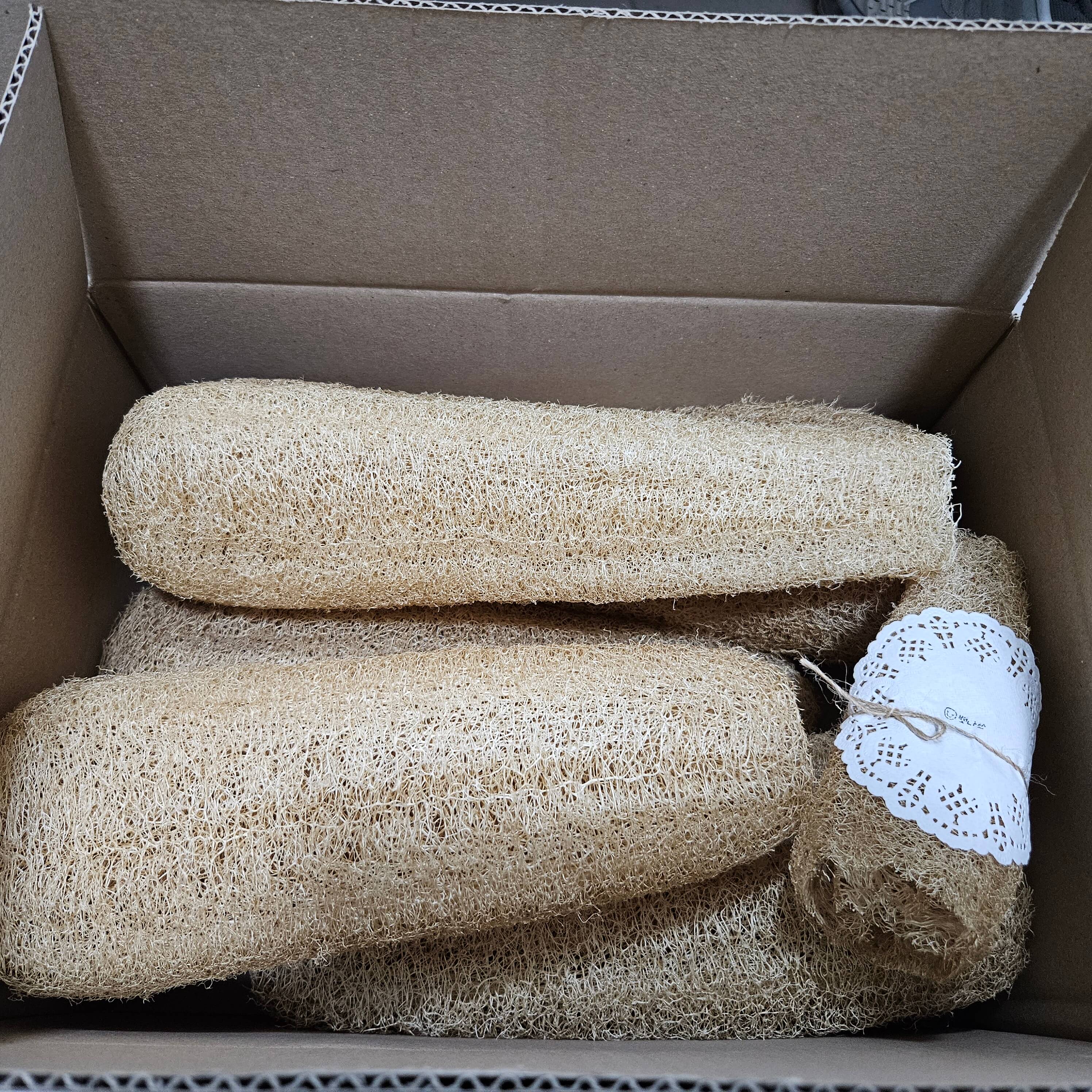 천연수세미