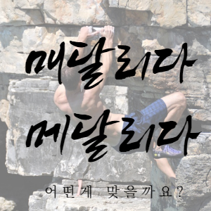  매달리다 메달리다 어떤걸 써야 정답인가요?