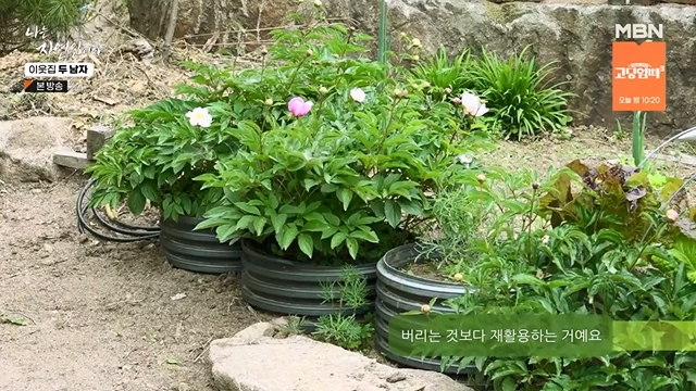 나는 자연인이다.E558.230615p-NEXT.mp4_20230615_200812.529.jpg