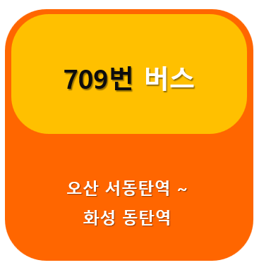 709번버스노선정보