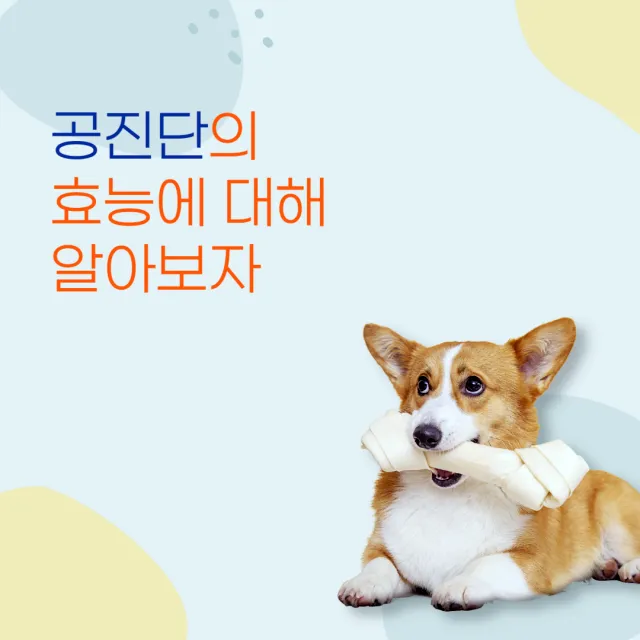 공진단-효능-썸네일