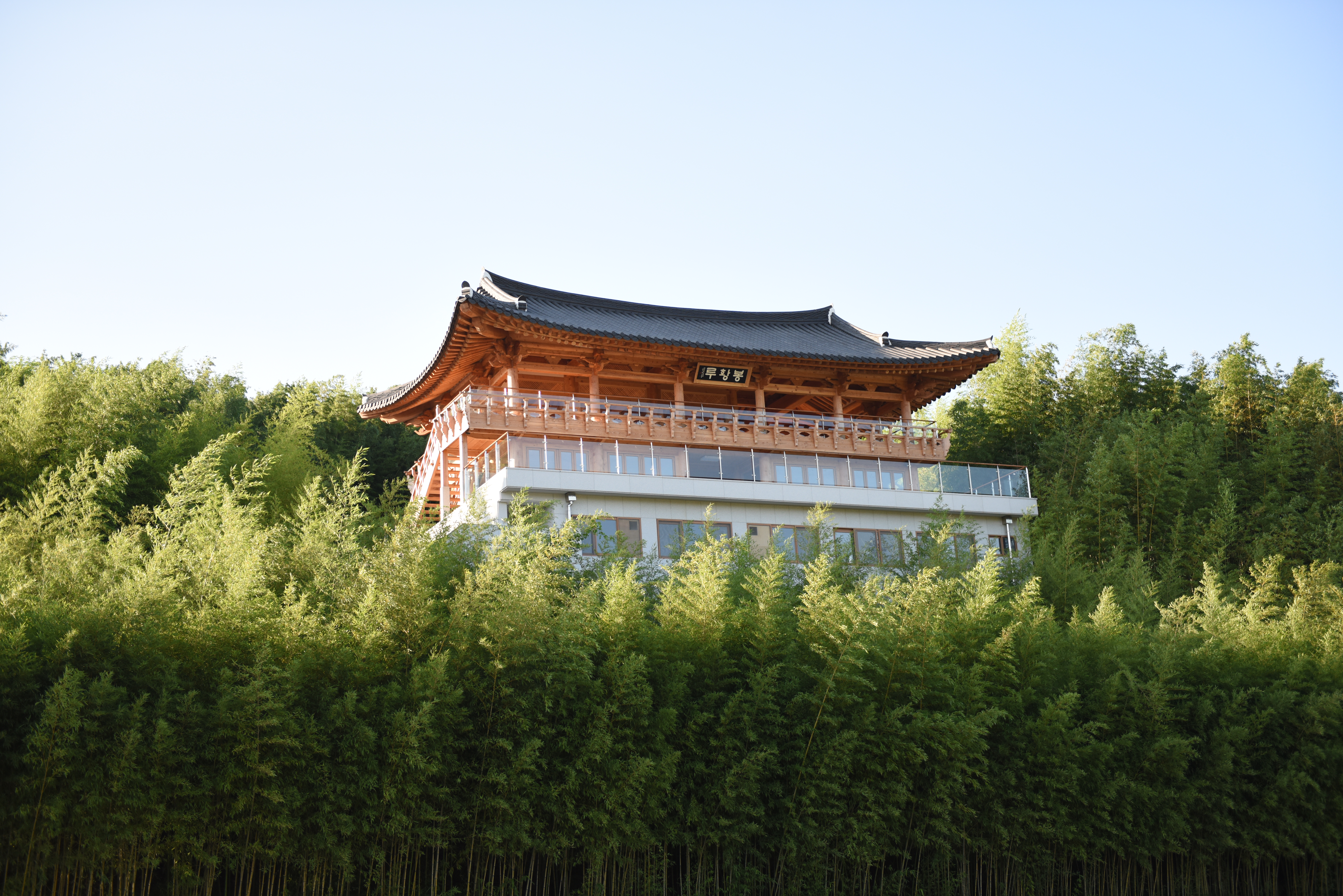 죽녹원12