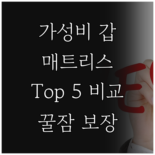 가성비 갑! 푹신한 매트리스 Top 