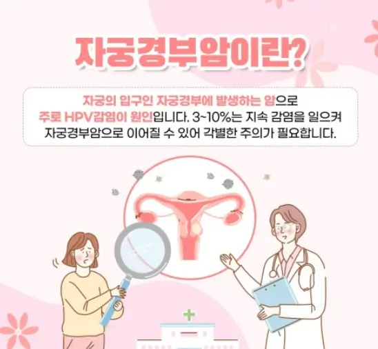 자궁경부암 원인