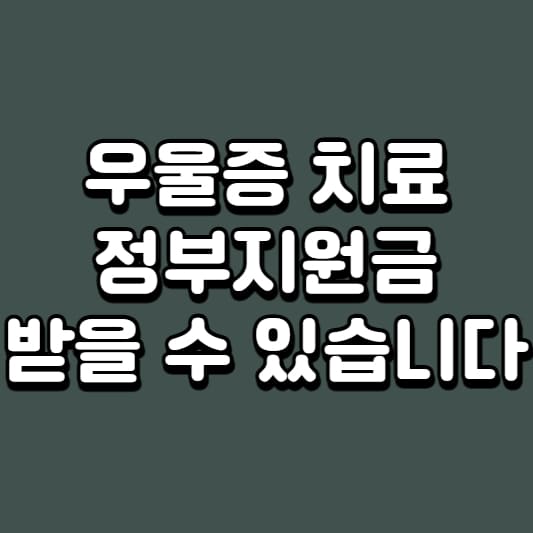 우울증 치료
우울증 치료비용
우울증 치료 비용 지원금
우울증 치료 지원금
우울증 정부지원금