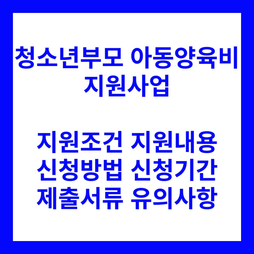 청소년부모 아동양육비 지원사업
