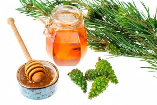  솔잎 효소 만들기 솔잎효능/pine leaf