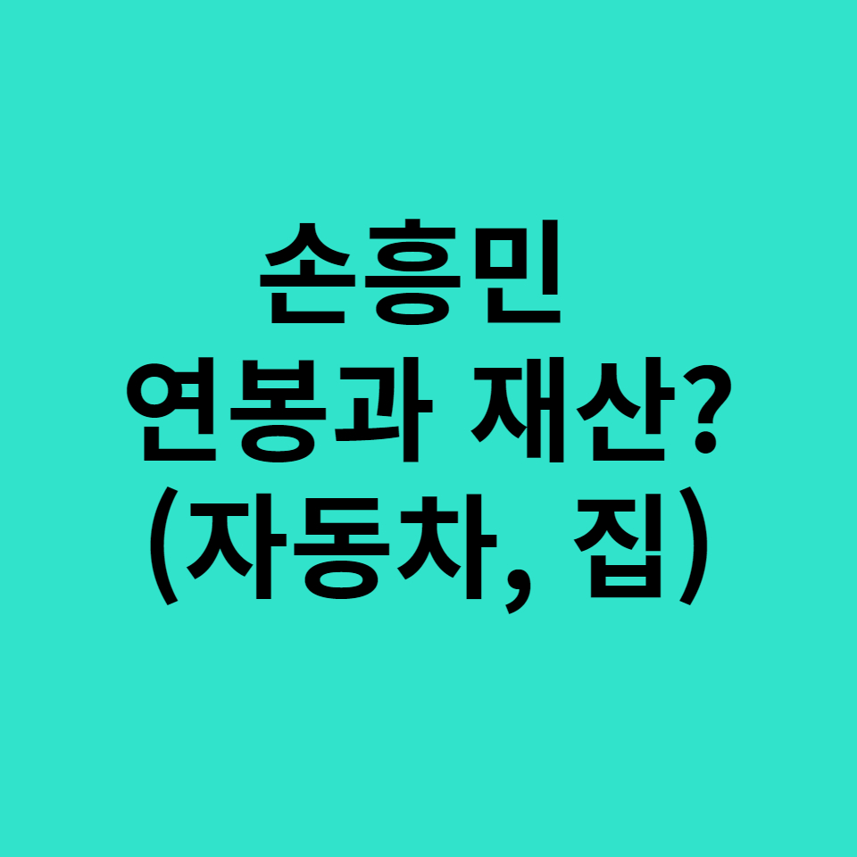  손흥민 연봉과 재산