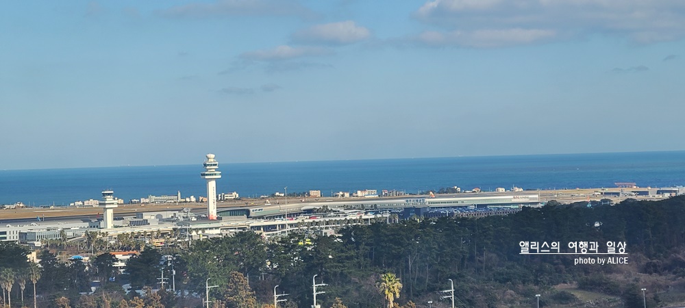 제주 시리우스 호텔, 제주 공항 근처 가성비 좋은 호텔 디럭스 패밀리룸 투숙 후기