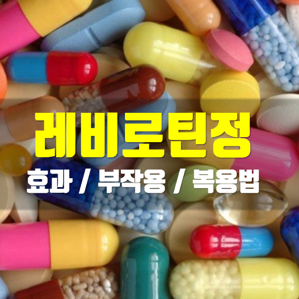  레비로틴정 1000mg 의약품 정보
