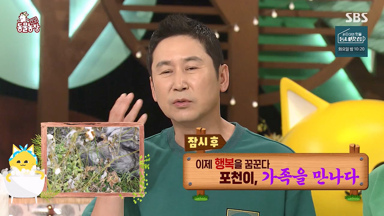 TV 동물농장.E1137.230911p-NEXT.mp4_20230910_183159.224.jpg