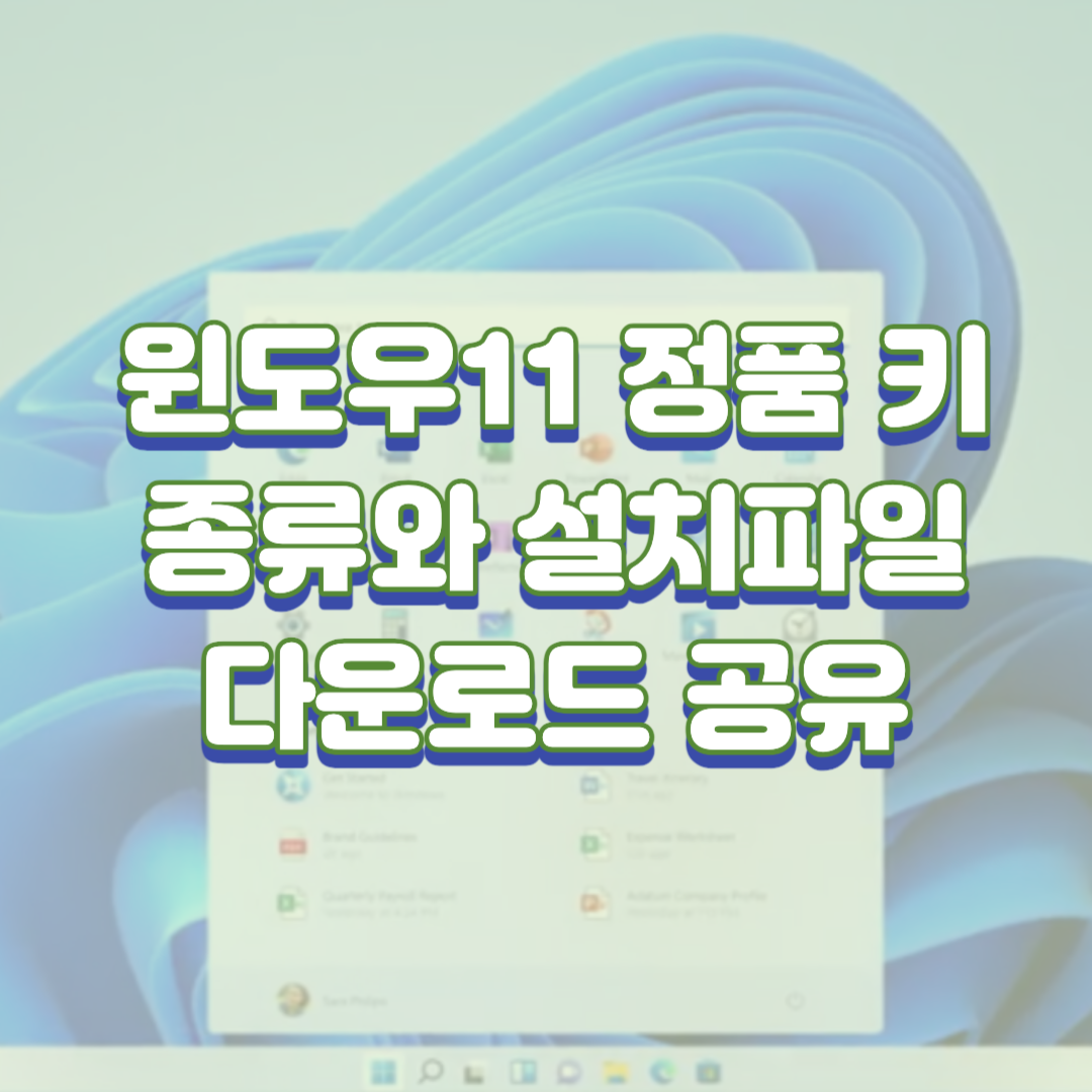  윈도우11 정품키 종류와 설치파일 다운로드 공유