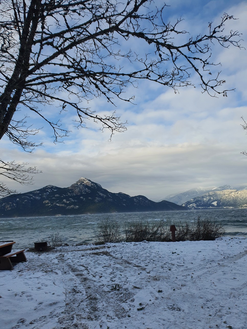 rv RV 카라반 끌고 미국 14