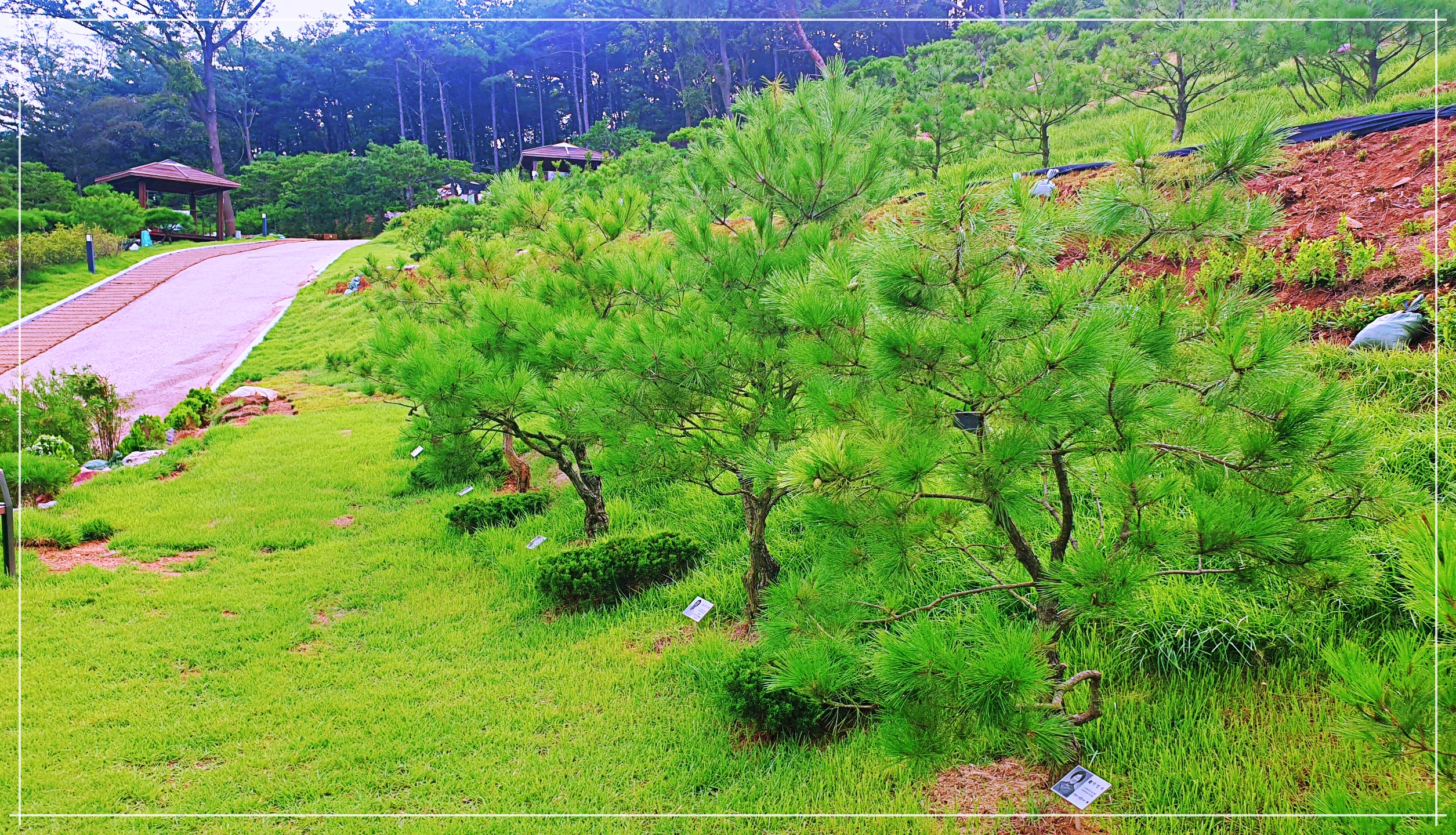경기도 일산수목장