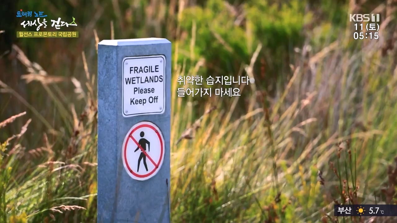 트레킹노트 세상을 걷다.E296.231112p-NEXT.mp4_20231115_212848.175.jpg