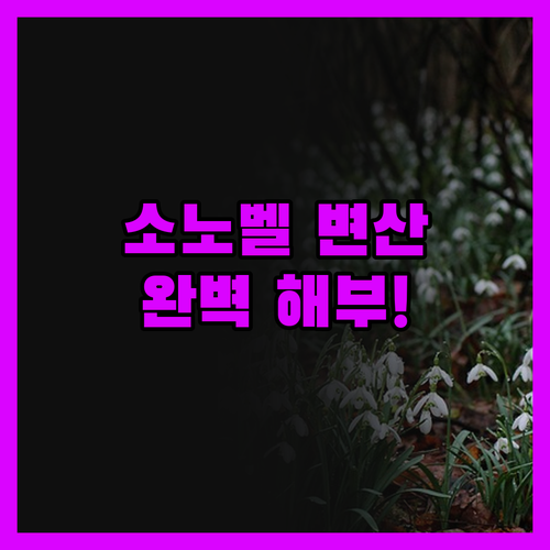 소노벨 변산 완벽 해부! 가족 여행객