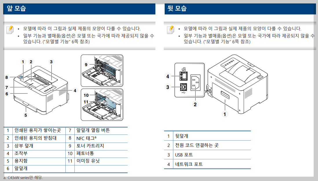 앞모습 및 뒷모습