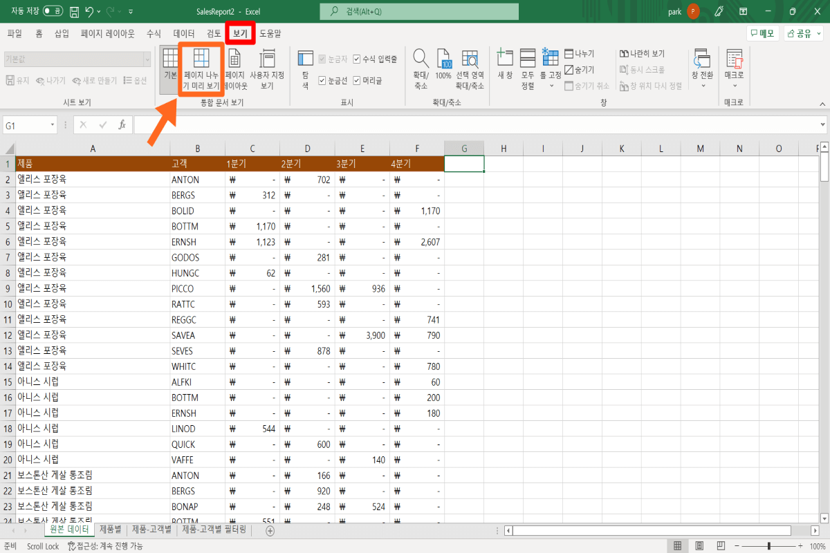 보기-탭-내-페이지-나누기-미리-보기-항목-위치