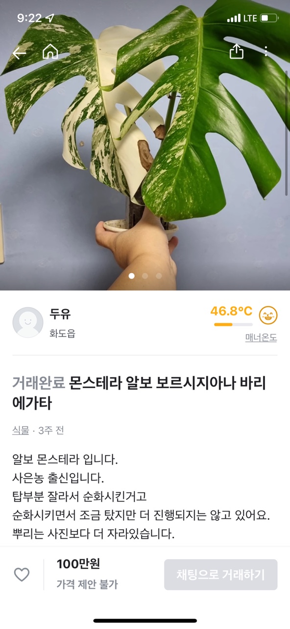 희귀식물재테크