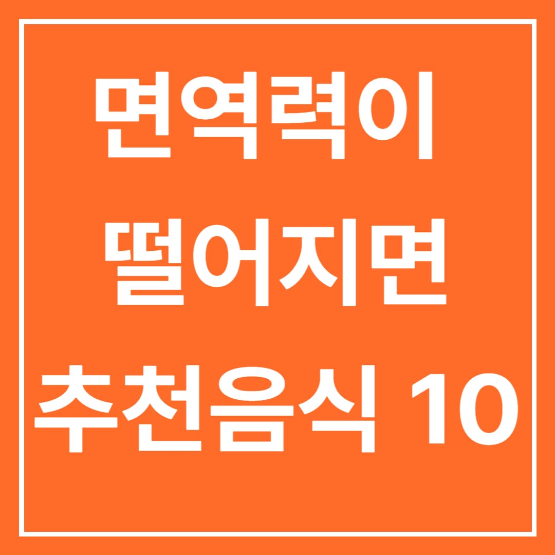  면역력이 떨어졌을때 높이는 음식들