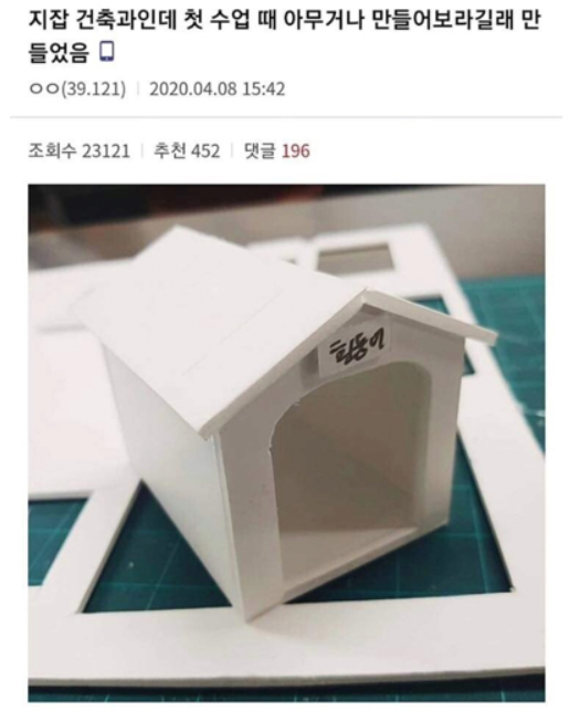  20학번 건축과 새내기가 휴학한 이유