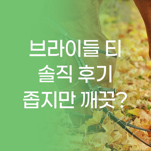 브라이들 티 하우스 호텔 솔직 후기 